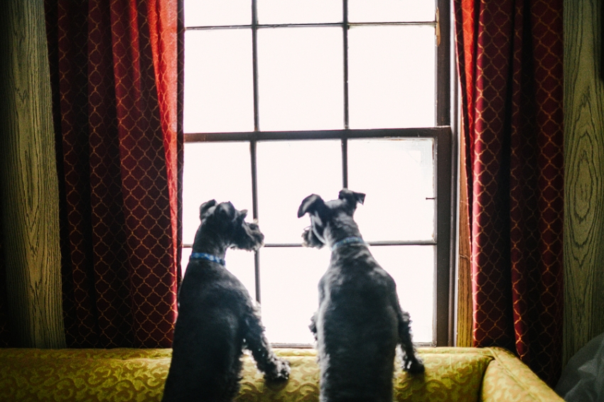 blush-photography-mary-trey-19(pp_w850_h566) blush-photography-mary-trey-19(pp_w850_h566)