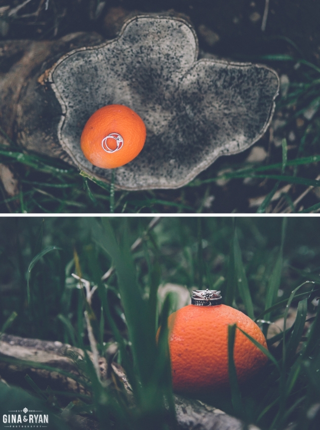 Ojai-Proposal-Photography-Session_0047(pp_w648_h870)