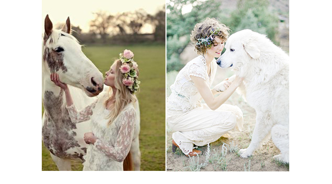 ©Pinterest animal-compagnie-mariage
