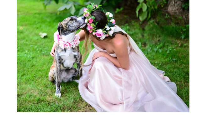 ©Kirsten Conte photography photo-mariage-romantique-chien