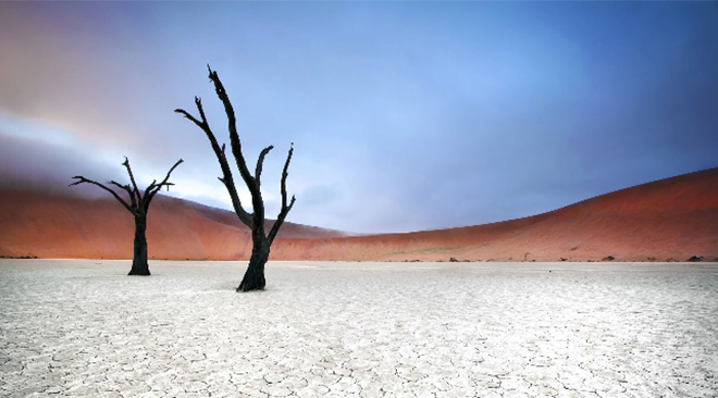 ©Rhino Africa desert-namibie-afrique-voyage-de-noces