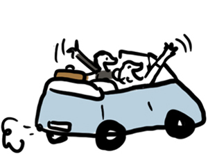 voyage-de-noces-mariage