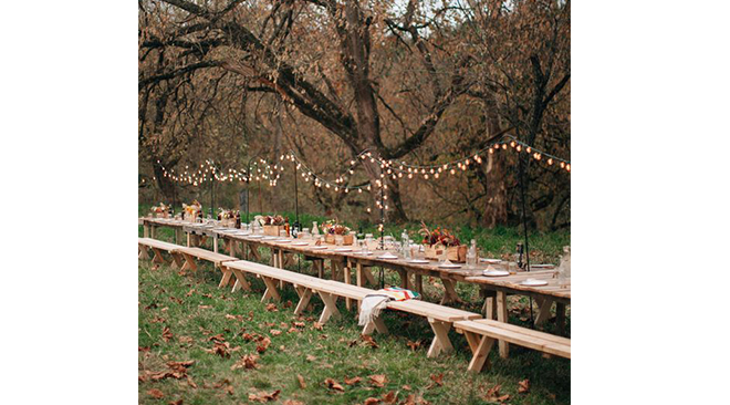 grandes-tablees-mariage-exterieur-pique-nique