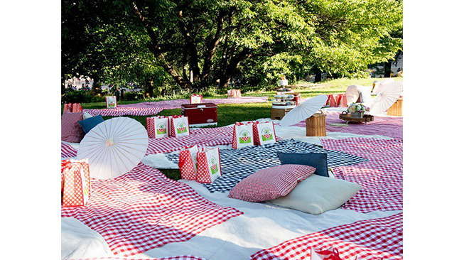 organiser-un-pique-nique-mariage
