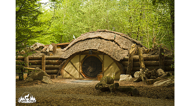 nuit-de-noces-insolite-dormir-avec-loups