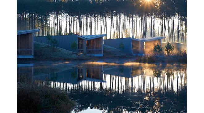 nuit-insolite-amoureux-nature-landes