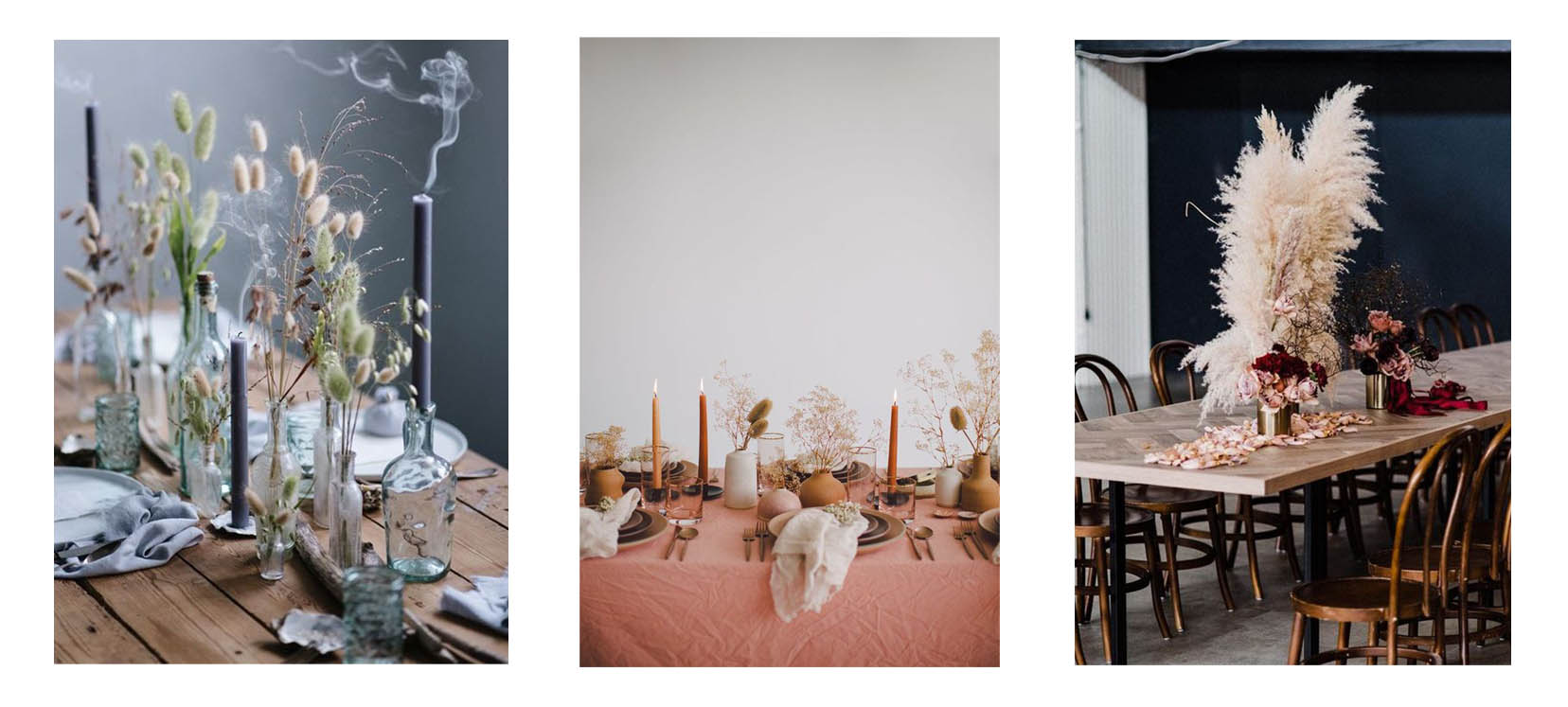 Bannière fleurs séchées 2