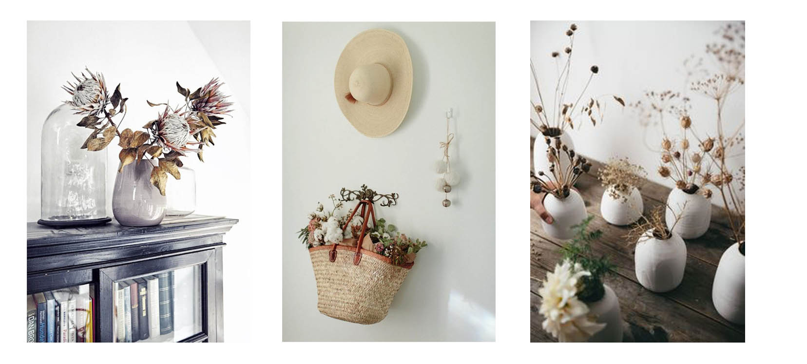 Bannière fleurs séchées 6