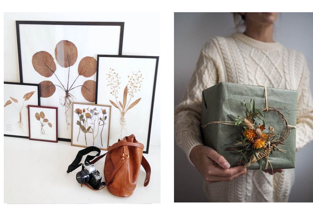 Bannière fleurs séchées 8