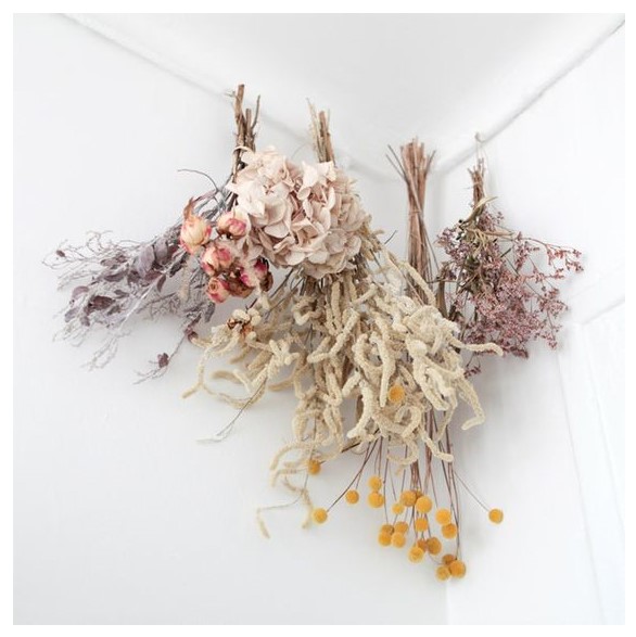 Fleurs séchées plafond