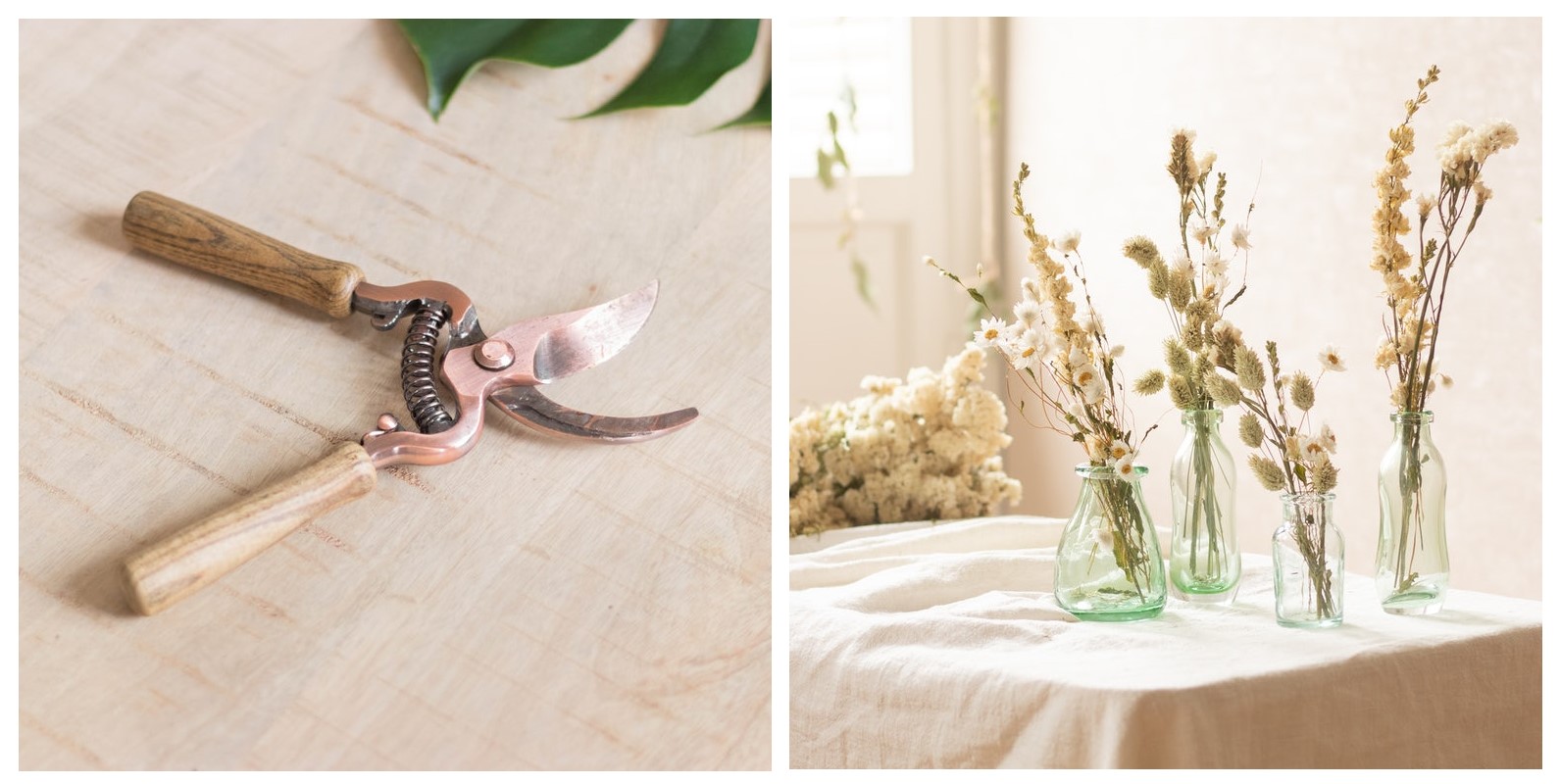 Monsieur Marguerite collage